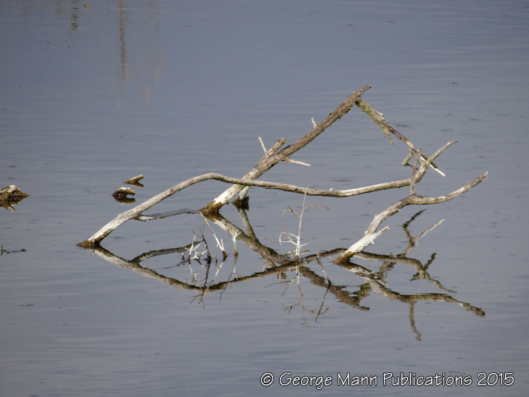 Light and shade 1: changing conditions