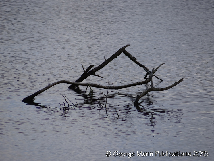 Light and shade 2: changing conditions