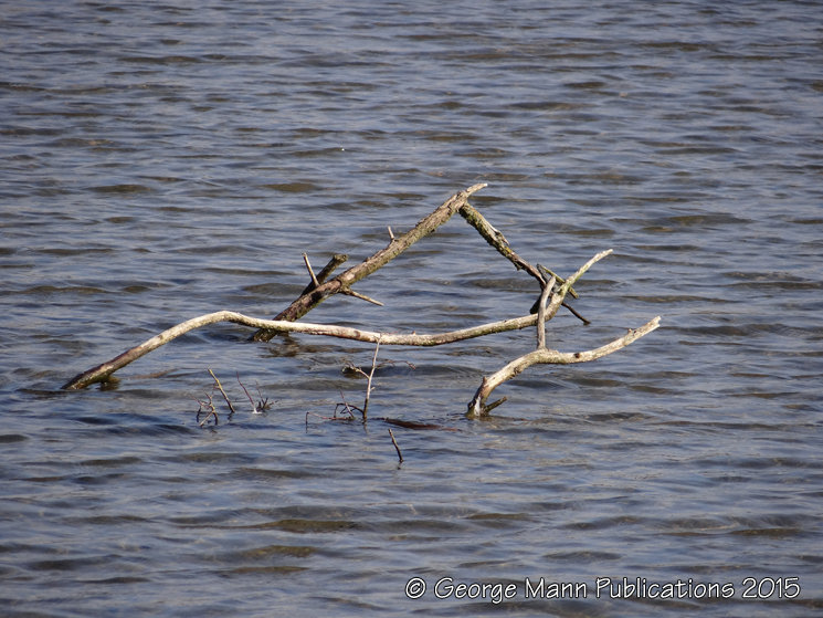 Light and shade 3: changing conditions