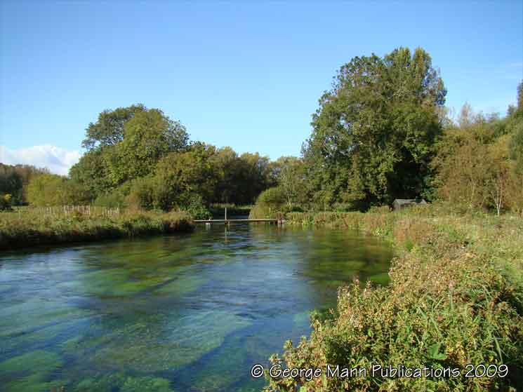 View of the middle beat