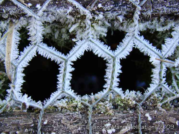 Wire netting snowflakes!