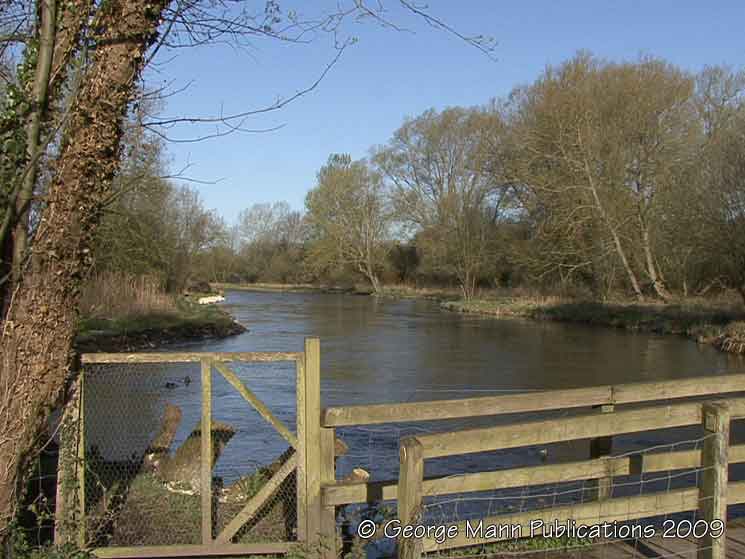View downriver from Martyr Worthy bridge