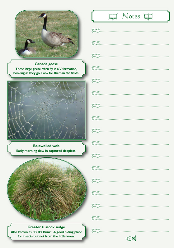 Calendar and Nature Notes ~ Contents  (Select to close)